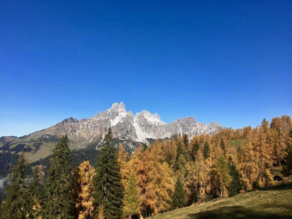 Appartementhaus Reiter Altenmarkt im Pongau Eksteriør bilde