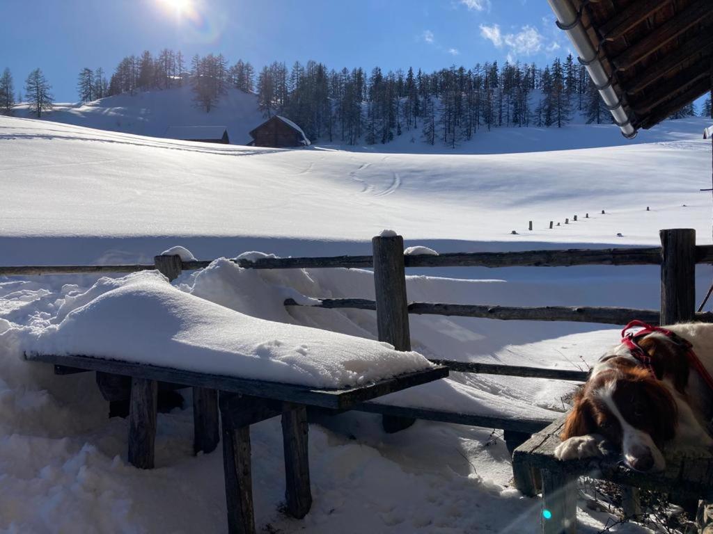 Appartementhaus Reiter Altenmarkt im Pongau Eksteriør bilde